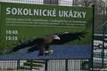 zoo_plzen_velikonoce (9)