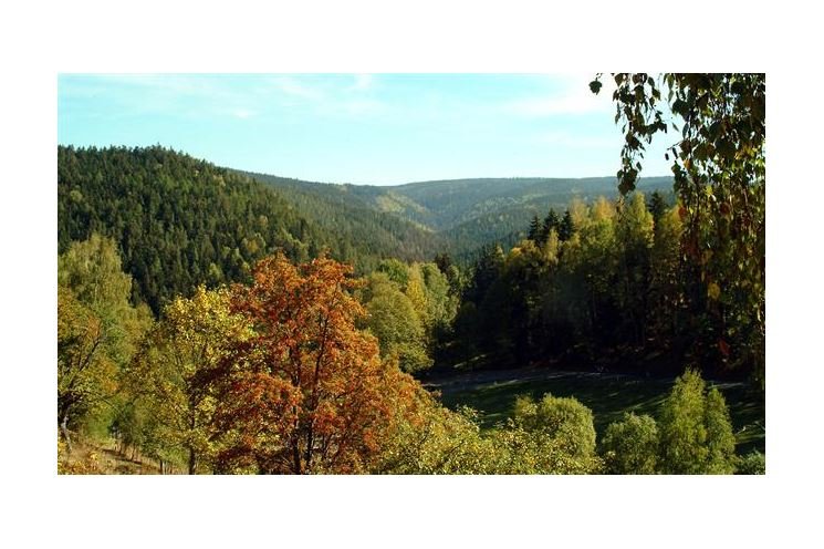 Šumava446