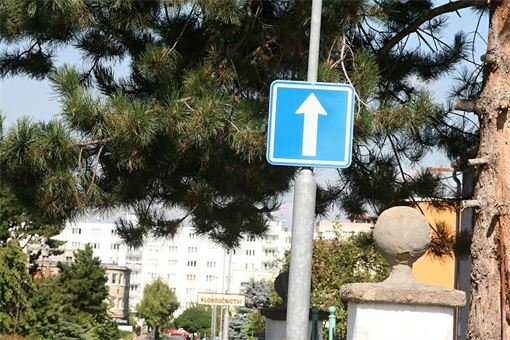 IMG_1217 IMG_1217