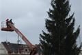 Vánoční strom Plzeň náměstí instalace (19)