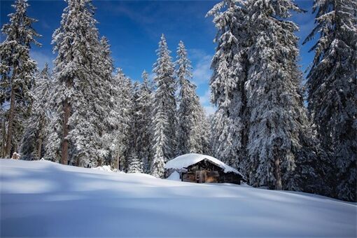 Bodenmais_Winter_Hütte Bodenmais_Winter_Hütte