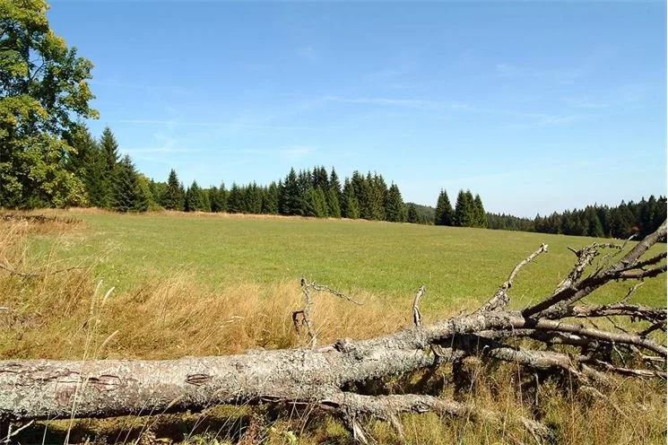 Šumava8704 Šumava8704
