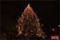 Rozsvícení vánočního stromu lochotín foto QAP (51)