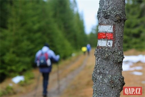 sumava vylet prasily_gsenget_zdanidla_hurka foto QAP (17) sumava vylet prasily_gsenget_zdanidla_hurka foto QAP (17)