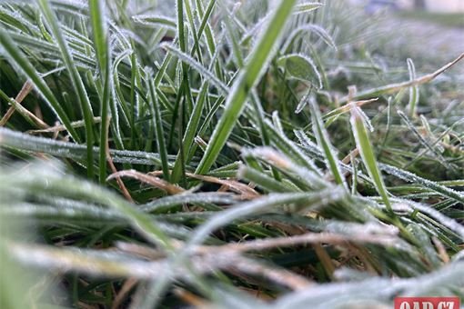 mrazik_prvni_foto QAP mrazik_prvni_foto QAP