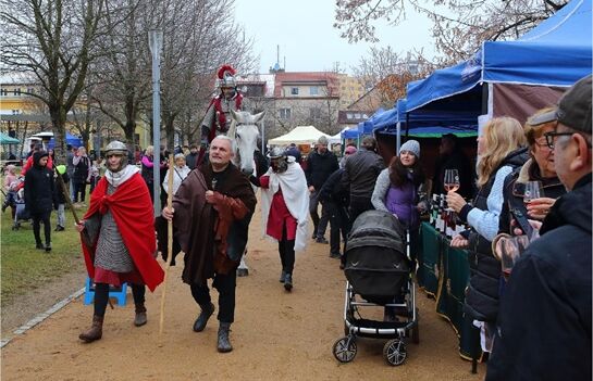 Svatomartinská husa Doubravka Z. Vaiz 1 Svatomartinská husa Doubravka Z. Vaiz 1
