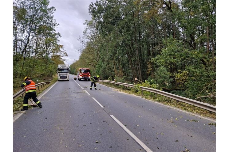 hasiči strom Dobřany 1