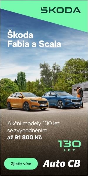 build-3421364-300x600@fabia-scala