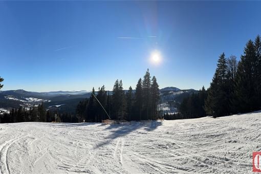 špičák 17_ledna 2025 foto QAP (3) špičák 17_ledna 2025 foto QAP (3)