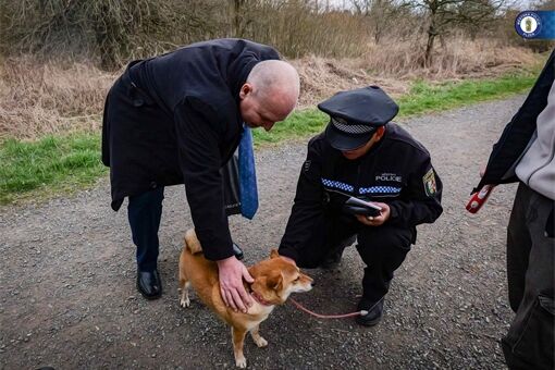 akce Kostička Skvrňany_0425_MPP (9) akce Kostička Skvrňany_0425_MPP (9)