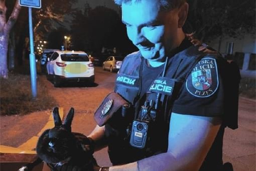 Noční dobrodružství malého králíka_0625_MPP Noční dobrodružství malého králíka_0625_MPP