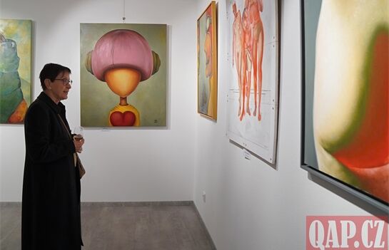 vernisáž Treml a Dittrichová_1125_QAP (8) vernisáž Treml a Dittrichová_1125_QAP (8)