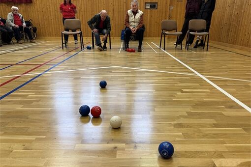 boccia Janovice_1125_clementas (10) boccia Janovice_1125_clementas (10)