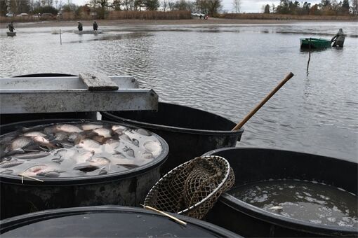 DSC_5711_fotoRadkaŽÁKOVÁ DSC_5711_fotoRadkaŽÁKOVÁ