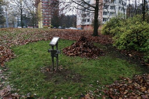 Ježčí úkryty na Trojce_1125_MO3 (1) Ježčí úkryty na Trojce_1125_MO3 (1)