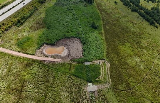 Janovský mokřad_1125_PK (4) Janovský mokřad_1125_PK (4)