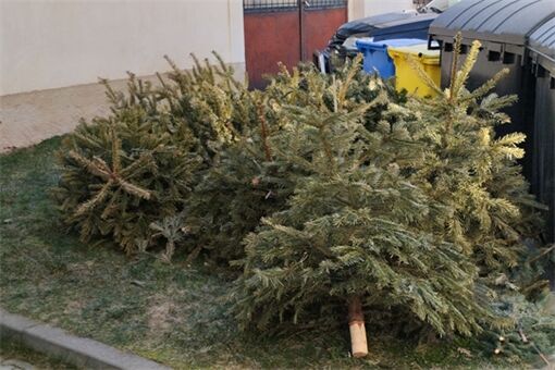 Svoz vánočních stromů_0126_město Rokycany Svoz vánočních stromů_0126_město Rokycany