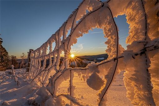 zima_mráz_ilustrační_0126_Milan Janoch zima_mráz_ilustrační_0126_Milan Janoch