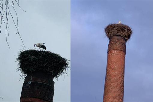 Spálené Poříčí_první čáp_0226_FB SP (1) Spálené Poříčí_první čáp_0226_FB SP (1)