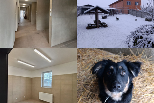 Útulek u šmudliny_0226_FB Šmudlina (1) Útulek u šmudliny_0226_FB Šmudlina (1)