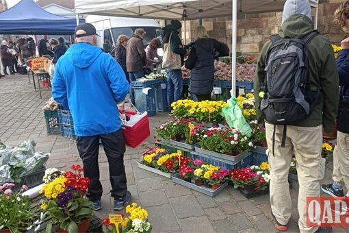 farmarske trhy QAP (5) farmarske trhy QAP (5)