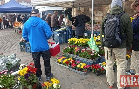 farmarske trhy QAP (5) farmarske trhy QAP (5)