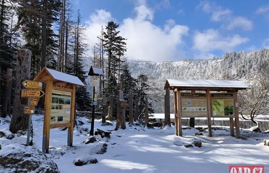 železnorudsko šumava foto QAP (1) železnorudsko šumava foto QAP (1)