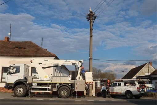 čápi hnízdí šlovice_0426_DESOP (2) čápi hnízdí šlovice_0426_DESOP (2)