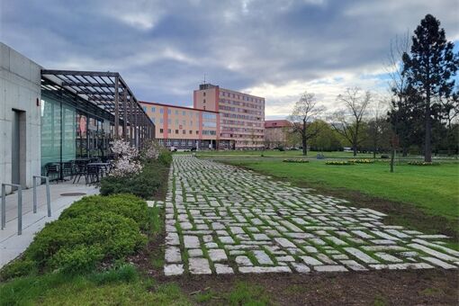 Borský park v Plzni prošel proměnou_0426_MMP (1) Borský park v Plzni prošel proměnou_0426_MMP (1)