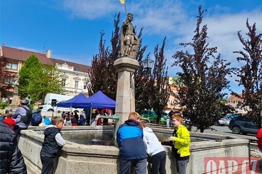 Den sociálních služeb Přešicko_0526_QAP (7) Den sociálních služeb Přešicko_0526_QAP (7)